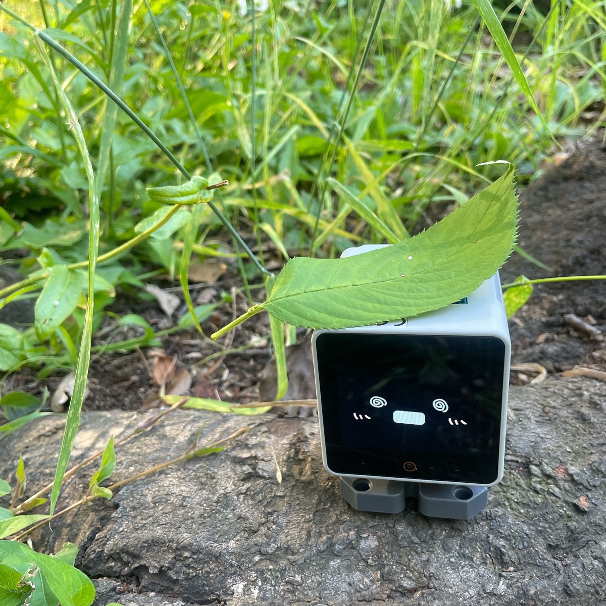 麦わら帽子スタックチャン